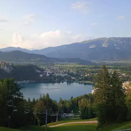 Bee Near Bled *