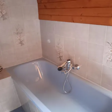 Bee Near Bled * Zabreznica