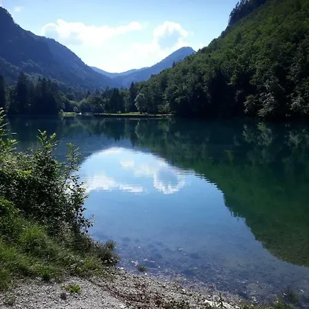 Apartment Bee Near Bled *