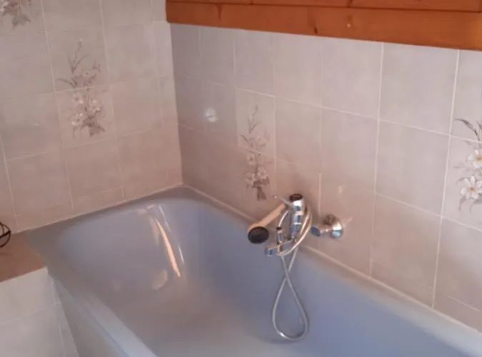 Bee Near Bled * Zabreznica