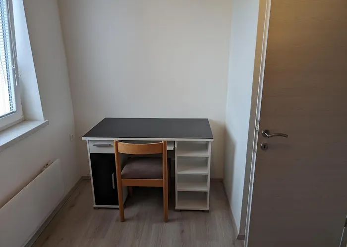 Bee Near Bled Zabreznica