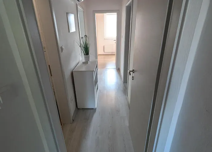 Bee Near Bled Daire *